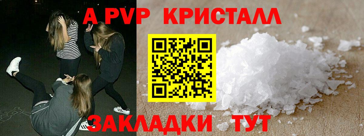 A PVP СК КРИС Гагарин