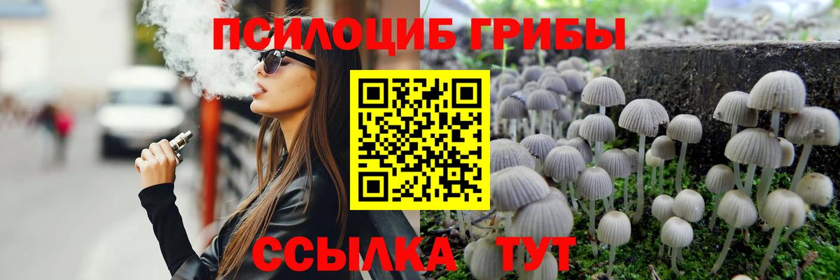 Галлюциногенные грибы Cubensis Гагарин